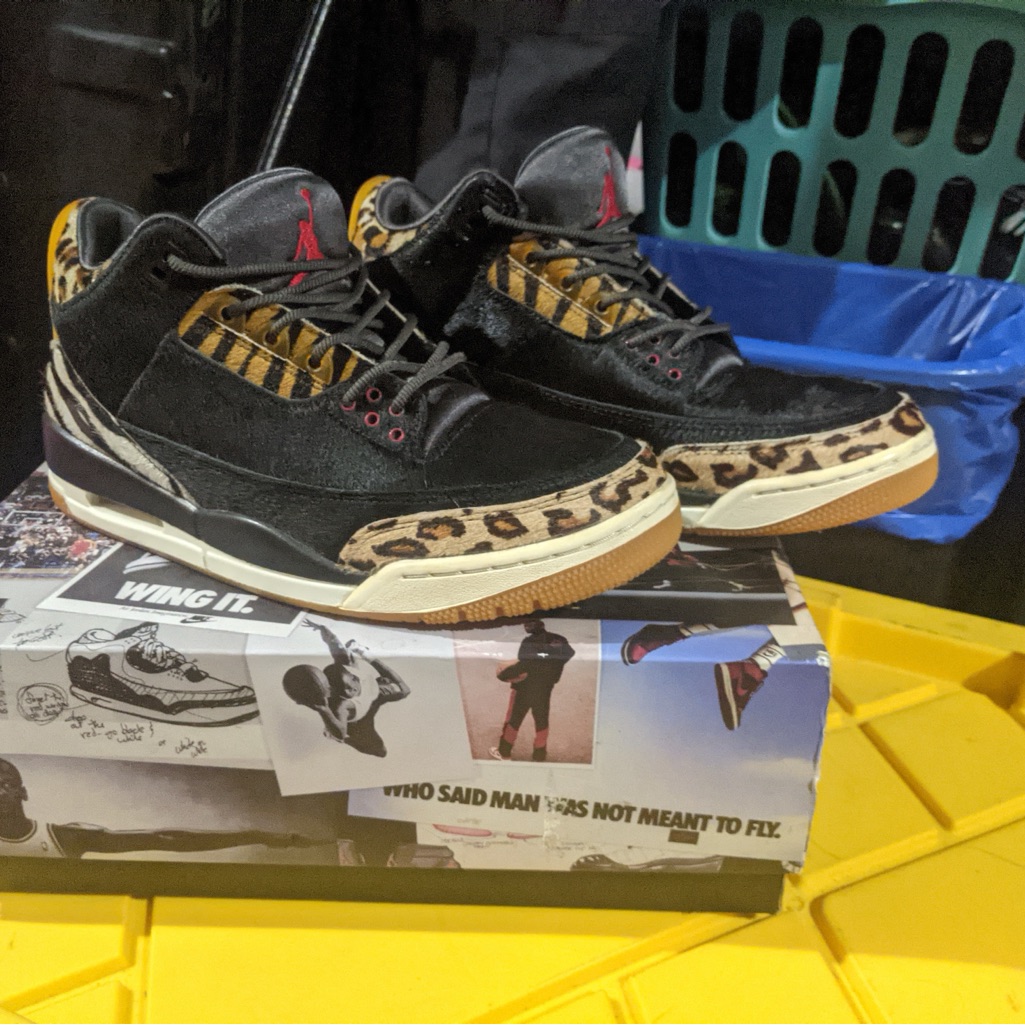 Jordan Men's Animal Instinct
